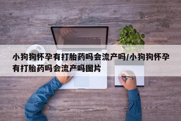 打胎药专卖微信卖流产药的微信小狗狗怀孕有打胎药吗会流产吗/小狗狗怀孕有打胎药吗会流产吗图片
