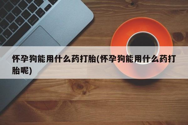 打胎药专卖微信卖流产药的微信怀孕狗能用什么药打胎(怀孕狗能用什么药打胎呢)