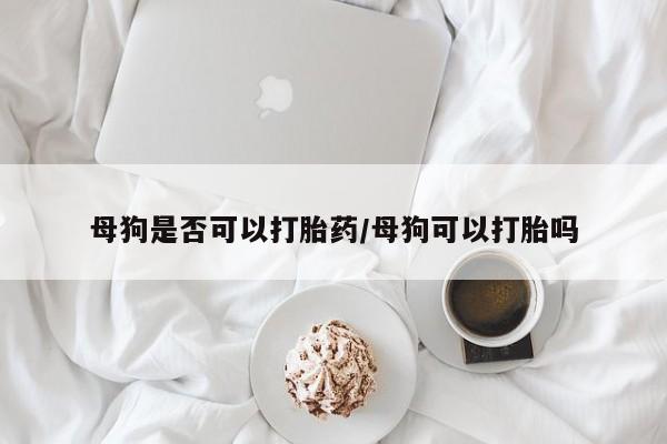 打胎药专卖微信卖流产药的微信母狗是否可以打胎药/母狗可以打胎吗